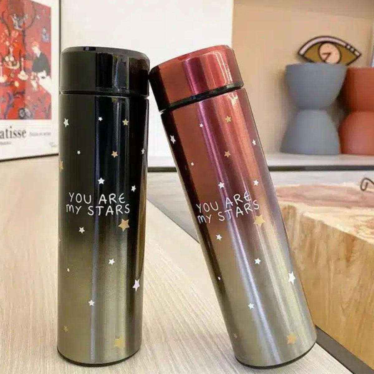 Temperature Display Thermos Water Bottle 500 ML