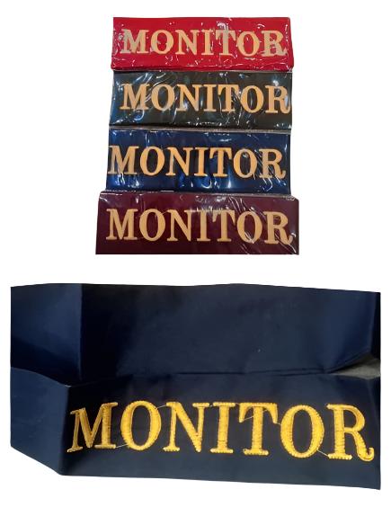 Monitor Flash V for class monitor